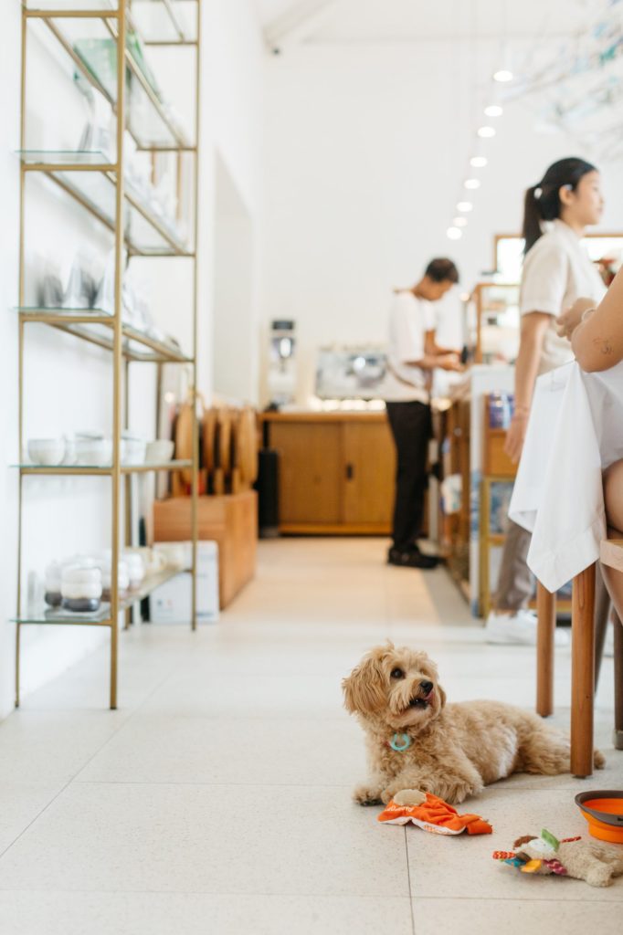 Dog in the Ame Bistro & Coffee