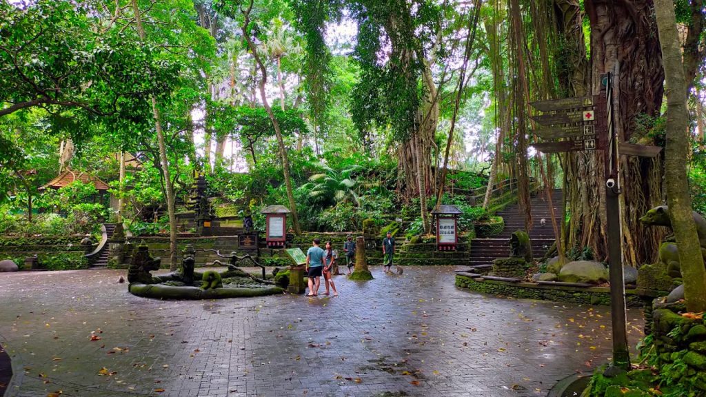 Nature and Calm Scene in Ubud