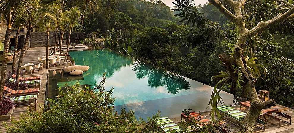 jungle fish bar in ubud