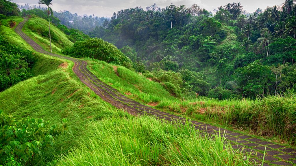 Campuhan Ridge Walk