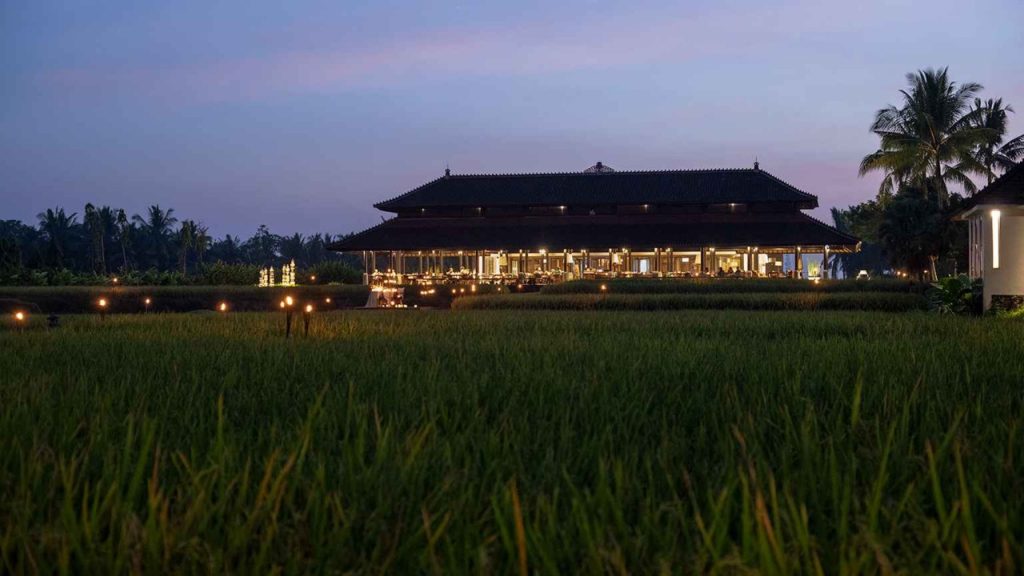 Ubud Rice Fields