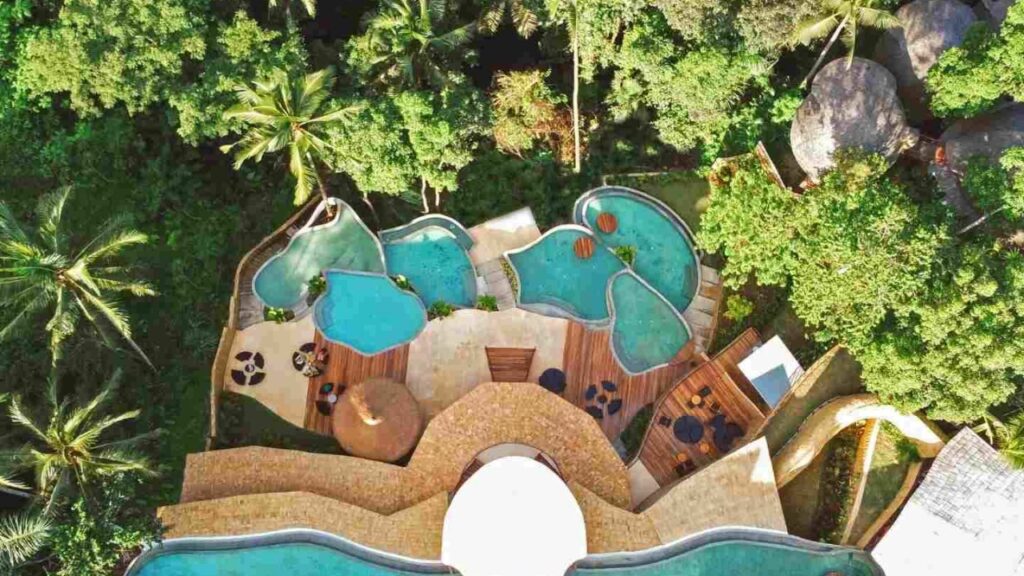 Jungle Pool Club