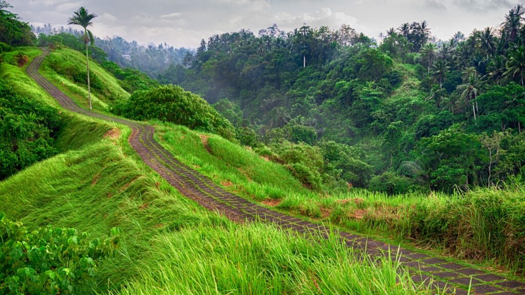 Campuhan Ridge Walk