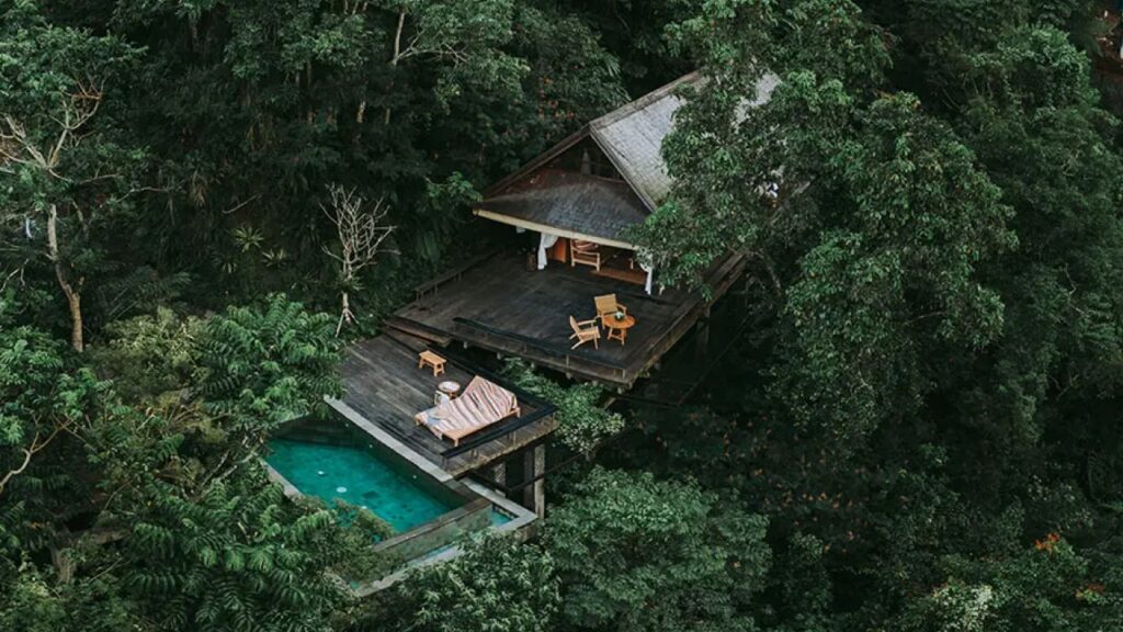 Jungle Picnic
