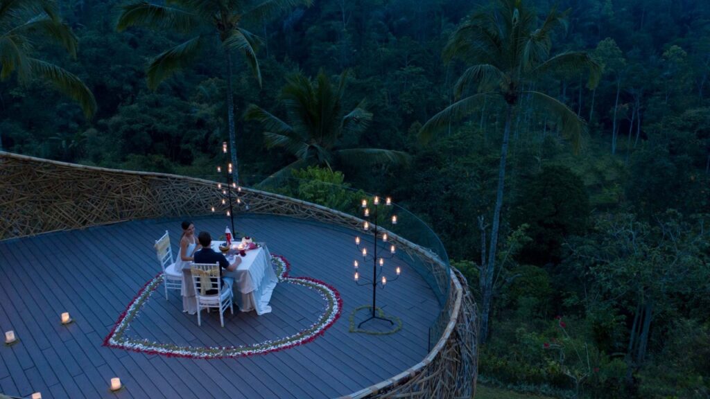 Romantic Dinner in the Jungle or by the River